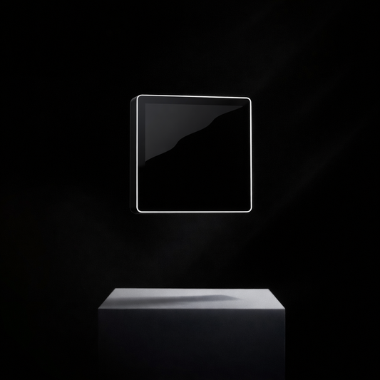 Qvantum QT Väggmonterad rumsdisplay